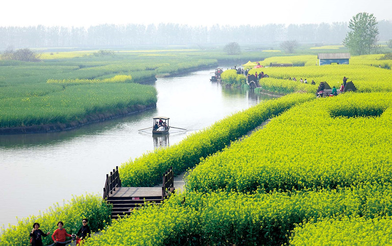 《水上油菜花》