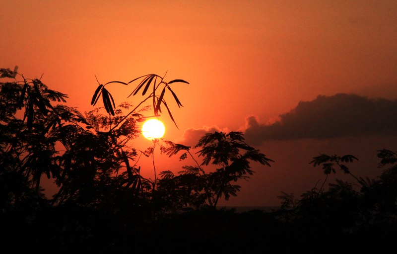 《美夕阳》