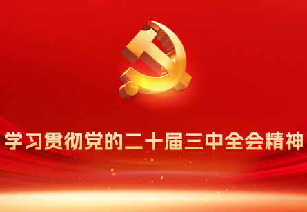 学习贯彻党的二十届三中全会精神