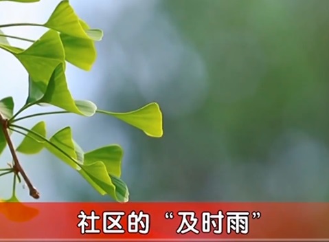 《晚晴》 社区的“及时雨”