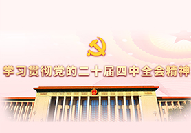 学习贯彻党的二十届四中全会精神