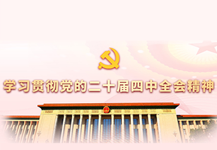 学习贯彻党的二十届四中全会精神